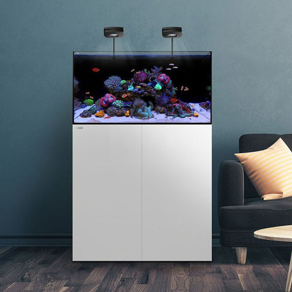 Waterbox Aquariums Aio - Uni Hill Aquarium