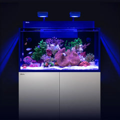 Collection image for: Aquariums
