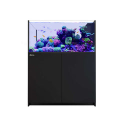 Collection image for: All Aquarium