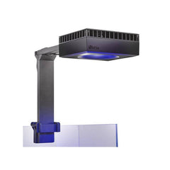 Collection image for: Lighting