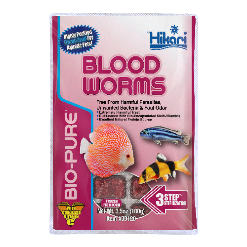 Hikari Blood Worms 100g - 32 Cubes