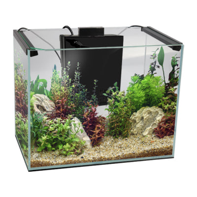AquaOne AquaLume Aquarium
