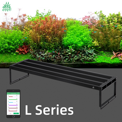 Week Aqua L Series LED Light