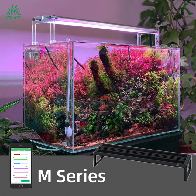 Week Aqua M Series LED Light