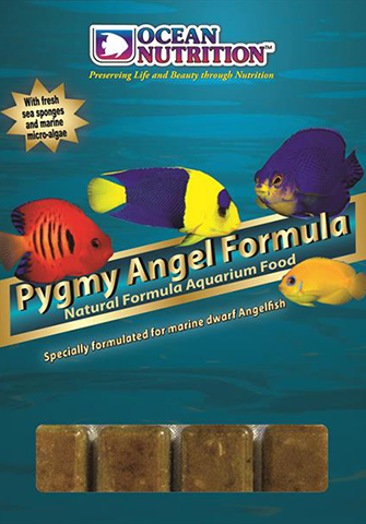 Ocean Nutrition Frozen Pygmy Angel Formula 100g