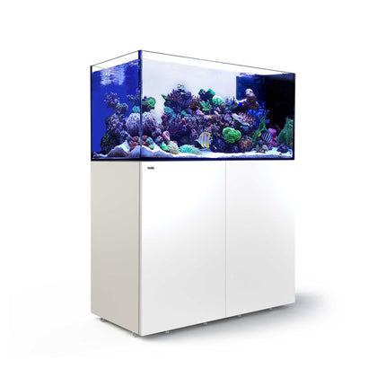 Red Sea Reefer Peninsula 500 G2+