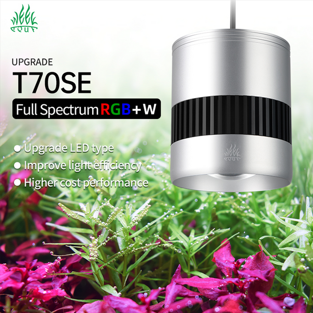 Week Aqua T70SE LED Light