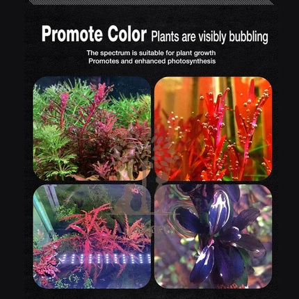 Neo-Helios Flat XP Series