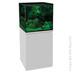 Collection image for: Freshwater Aquarium