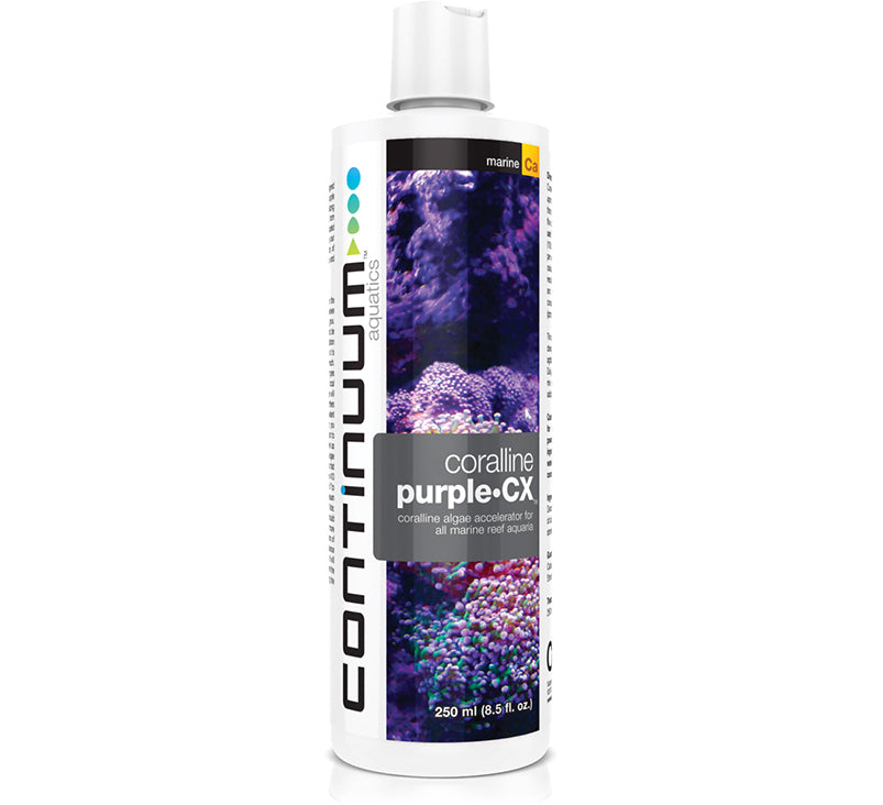 Continuum Coralline Purple.CX