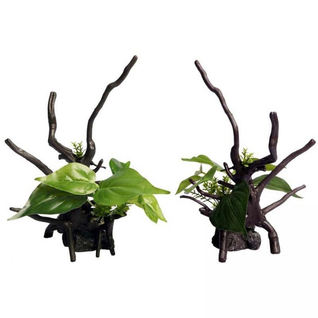 AquaOne Ornaments Devils Ivy Driftwood