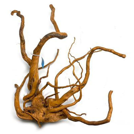 Aquarium Gold Vine Driftwood
