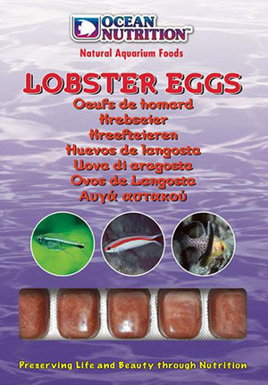 Ocean Nutrition Lobster Eggs