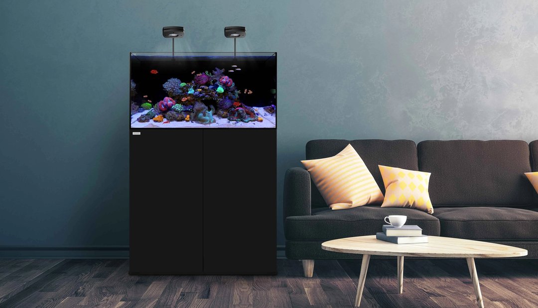 Waterbox Aquariums AIO