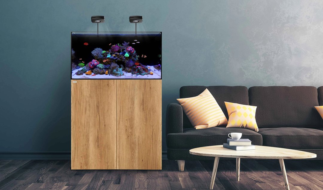 Waterbox Aquariums AIO