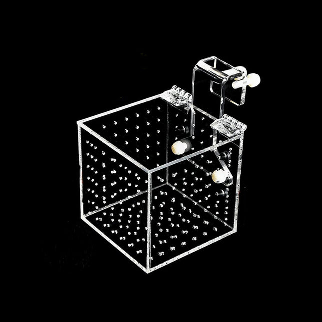 Acrylic Aquarium Breeding Box for Fish Fry
Clear Fish Tank Isolation Box with Suction Cup
Aquarium Fry Hatchery Box Acrylic Design
Fish Breeding Isolation Container for Aquarium
Transparent Aquarium Breeding Box for Fry Protection
Aquarium Fish Nursery Box Acrylic Holder
Fish Tank Separation Box for Breeding Use
Acrylic Fish Isolation Chamber for Aquarium