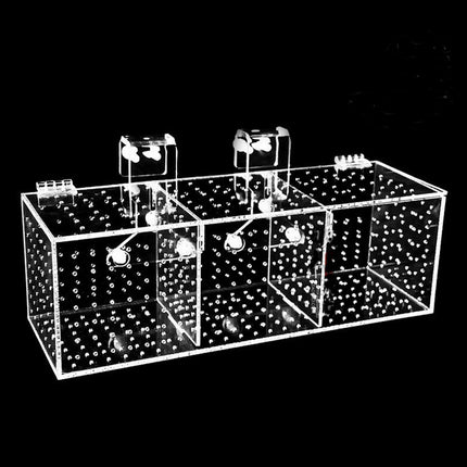 Acrylic Aquarium Breeding Box for Fish Fry
Clear Fish Tank Isolation Box with Suction Cup
Aquarium Fry Hatchery Box Acrylic Design
Fish Breeding Isolation Container for Aquarium
Transparent Aquarium Breeding Box for Fry Protection
Aquarium Fish Nursery Box Acrylic Holder
Fish Tank Separation Box for Breeding Use
Acrylic Fish Isolation Chamber for Aquarium