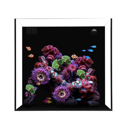 Waterbox Aquariums CUBE