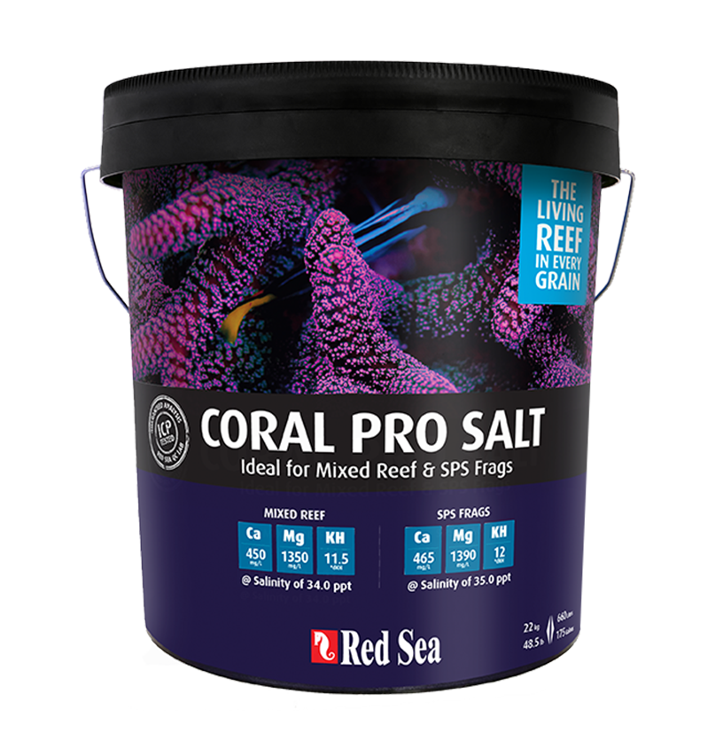 Red Sea Coral Pro Salt 22KG (660 Ltr) Bucket