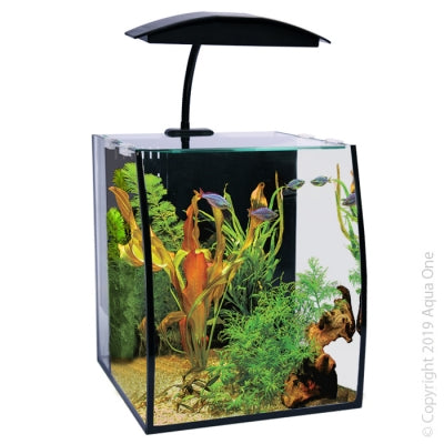 AquaOne ARC Aquarium