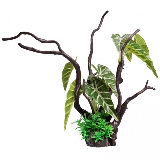 AquaOne Philodendron Driftwood