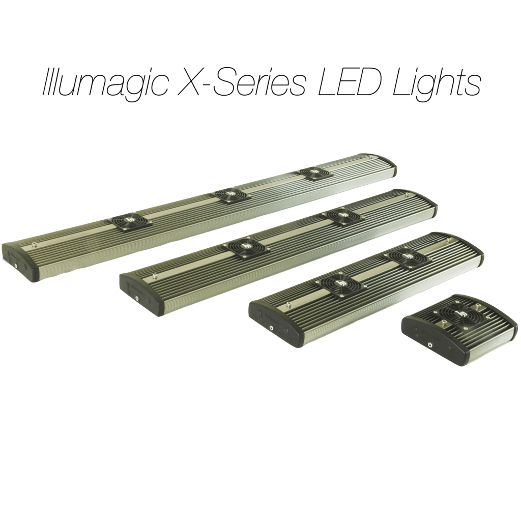 Illumagic Blaze X Series LED Light