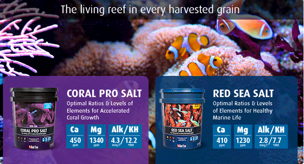 Red Sea Sea Salt