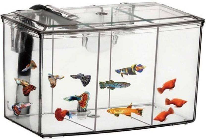 external hang on plastic aquarium fish breeding box satellite l External Hang-On Breeding Tank