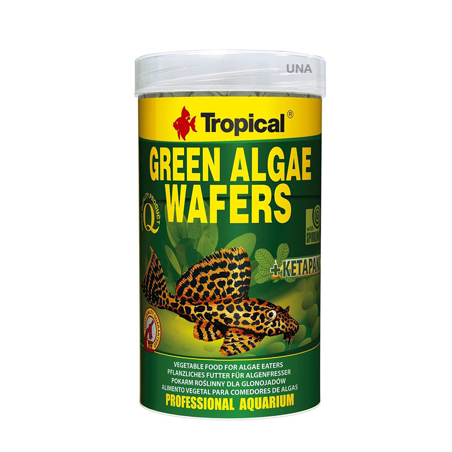 Tropical Green Algae Wafers (10mm disc)