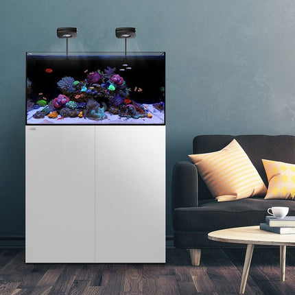 Waterbox Aquariums AIO