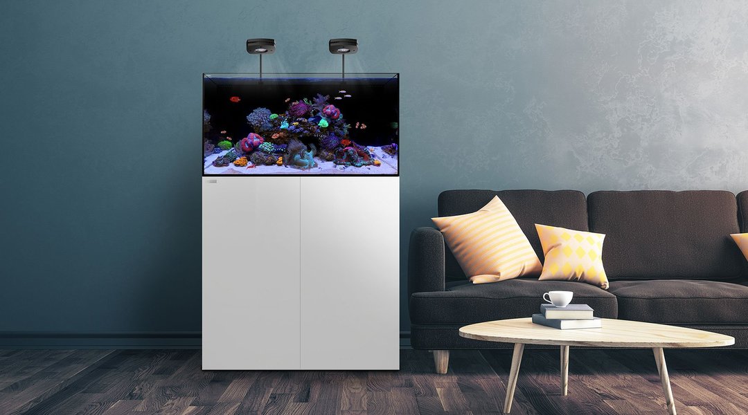 Waterbox Aquariums AIO